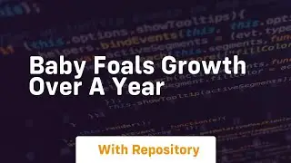 Baby foals growth over a year