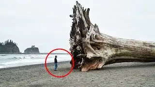 20 Strange Things That Have Washed Ashore