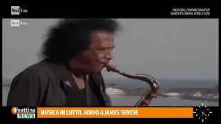 Addio a James Senese, il sax di Napoli - 1mattina News 30/10/2025