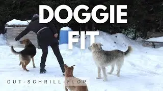 Doggie fit - out, schrill, flop