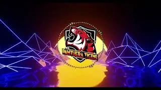 ANURUX-PANTHERA NO.1