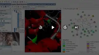 Episode 13: Molecular Docking using Drug Discovery Studio and PYRX.