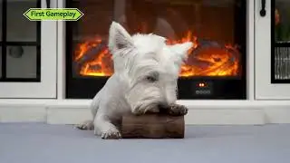 Cool Smart Dog Gadgets, Dog Toys for Aggressive Chewers #doggadgets #dogloverfun #doglover #dogtoys