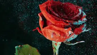 Martin Garrix & David Guetta - So Far Away (feat. Jamie Scott & Romy Dya) (TV Noise Remix)
