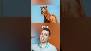 Voici COMMENT les ANIMAUX per&ccedil;oivent le MONDE !!
