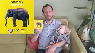 A Bilingual Look-A-Book: Animals/Animales, by Priddy Books