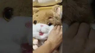 Cute Hamster #hamster #plushie