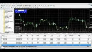 Forex hedging strategy protection against losses