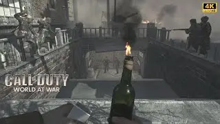 Eviction - 1945 | COD World at War Mission 10 Campaign Gameplay (No Commentary)
