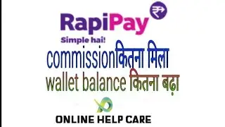 How to check Rapipay commission | Agent ledger | Rapipay transaction check