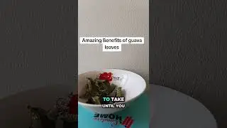 Benefits from guava leaves #NaturalHealth #healthyliving #southafricatiktok🇿🇦 