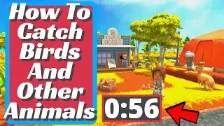 Dinkum - How To Catch Birds And Other Animals