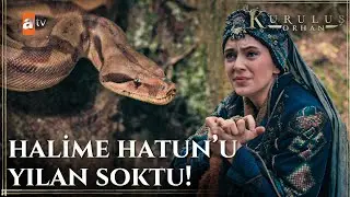 Halime Hatun'u yılan sokuyor! - Kuruluş Orhan 6. Bölüm
