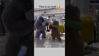 Daily Animals Dose | #pets #funnymoments