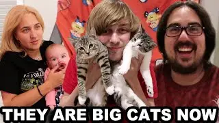 КОТЯТА ВЫРОСЛИ! (ОНИ ТЕПЕРЬ КОШКИ)