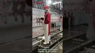 10000BPH chicken defeathering plucker