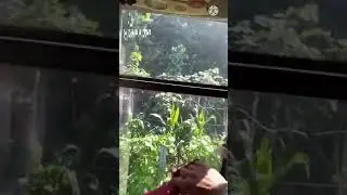how to break  bus glass in Emergency time