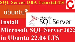 SQL Server DBA Tutorial 116 - Install Microsoft SQL Server 2022 in Ubuntu 22.04 LTS