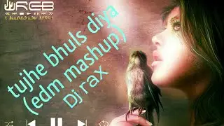 Tujhe Bhula Diya (Mashup Remix) - Deejay Rax