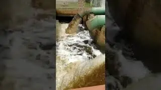 Ontwatering in onze buurt⛈️🌊💧