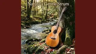 Nature's Gentle Strum