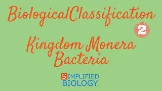 KINGDOM MONERA - BACTERIA for NEET, AIIMS, AIPMT, JIPMER, PREMED, MCAT