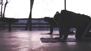 ARAP Video SD
