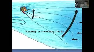 Confessions of a Swinger   Fly Fishing for Summer Steelhead with John Shewey