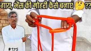 how to make a new generation rope halter #dhariwalvlog #hansi