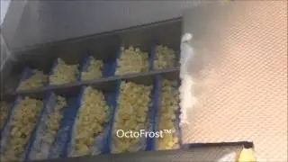OctoFrost Technology for IQF Vegetables - Diced Potatoes