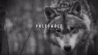 Paleowolf - Age of the Wolf (Official video)