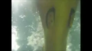 Mermaid Overhead Clips