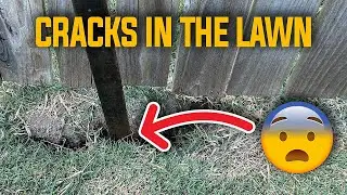 Drought Cracks in the Lawn