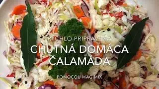 R&yacute;chlo pripraven&aacute; dom&aacute;ca čalam&aacute;da pomocou kuchynsk&eacute;ho robota Magimix