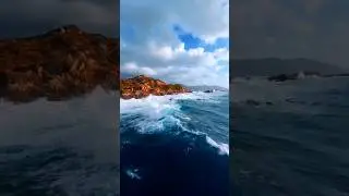 Natue heals itself ❤️ | #shorts #trending #shortsfeed #healing #shortvideos
