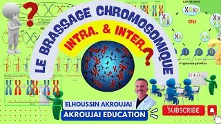 Le brassage chromosomique