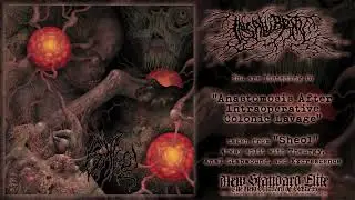 Insalubrity - 