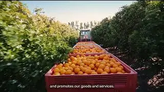 Austrade Explainer &ndash; What we do/How we help do business