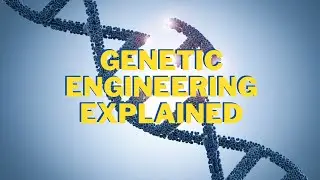 Genetic engineering explained simply