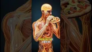 What Happens Inside Your Body After Eating Pizza? 🍕 (3D CGI) #ai #reels #3danimation