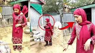 হিজরা হয়ে গ্রামে ঘুরে ব্যবসা করে সংসার চালাই | Real Life Story Bangladesh । Paisarhat tv