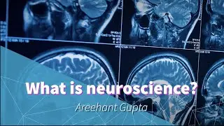 What Is Neuroscience?