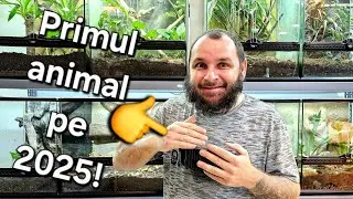 Primul animal din 2025, o nouă specie &icirc;n casa DinTerariu!