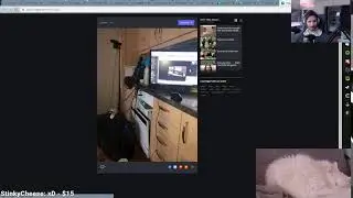 IRL - nymn - FRIDAYS WITH NYMN | @nymnion on twitter/instagram