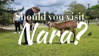 Is Nara worth a visit?  3 reasons you may or may NOT want to visit Nara, Japan | Kinny & JJ