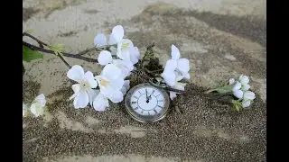 One Hour Principle for Personal Development & Transformation, Life Transformation Habits for Success