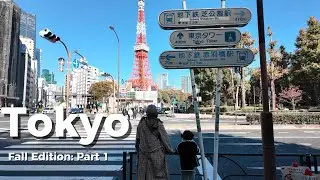 Fall in Tokyo - Cafes, Gachapon, and Shopping
