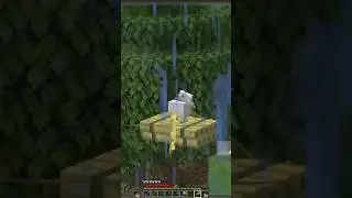 Flying Goat??! #minecraft #minecraftsmpseries #minecraftsurvival #gaming #shorts
