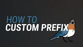 Birb Tutorial -- How to setup Custom Prefixes.