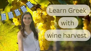 Learn Greek with wine harvest and its culture - life in Greece